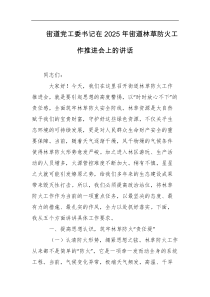 街道党工委书记在2025年街道林草防火工作推进会上的讲话