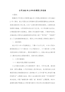 公司20XX年上半年共青团工作总结