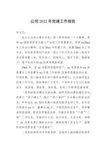 公司20XX年党建工作报告