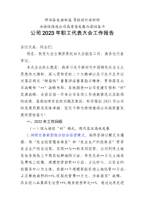 公司20XX年职工代表大会工作报告