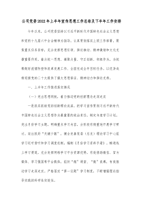 公司党委20XX年上半年宣传思想工作总结及下半年工作安排