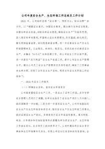 公司年度安全生产生态环保工作总结及工作计划