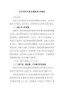 关于20XX年度XX镇政府工作报告