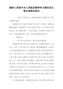 镇深入贯彻中央八项规定精神学习教育回头看自查情况报告