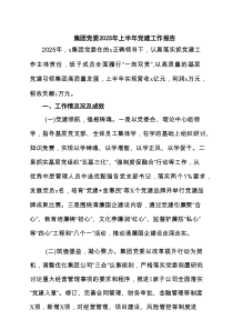 集团党委2025年上半年党建工作报告精选（5篇）