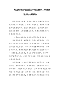 集团有限公司党委关于巡视整改工作进展情况的专题报告