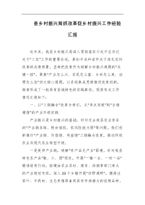 县乡村振兴局抓改革促乡村振兴工作经验汇报