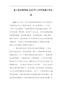 县人民法院党组2025年上半年党建工作总结