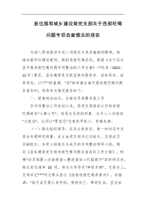 县住房和城乡建设局党支部关于违规吃喝问题专项自查情况的报告