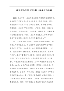 县法院办公室2025年上半年工作总结