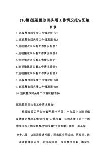 （10篇）巡视整改回头看工作情况报告汇编