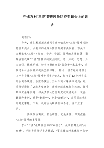 在镇农村三资管理风险防控专题会上的讲话