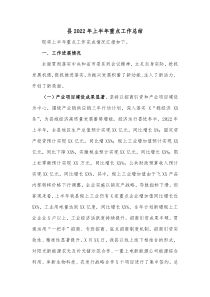 县20XX年上半年重点工作总结