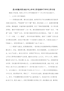 县乡村振兴局20XX年上半年工作总结和下半年工作计划