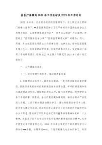 县医疗保障局20XX年工作总结及20XX年工作计划