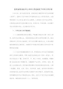 县司法局20XX年上半年工作总结及下半年工作计划