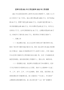 县审计局20XX年工作总结和20XX年工作安排