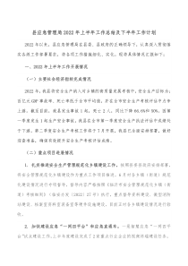 县应急管理局20XX年上半年工作总结及下半年工作计划