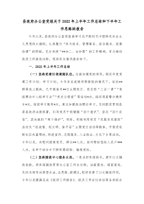 县政府办公室党组关于20XX年上半年工作总结和下半年工作思路的报告