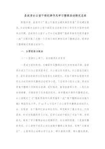 县政府办公室干部纪律作风学习整顿活动情况总结