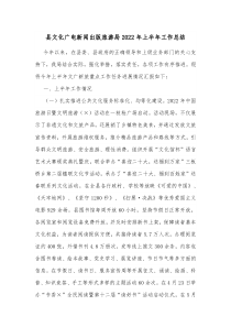 县文化广电新闻出版旅游局20XX年上半年工作总结