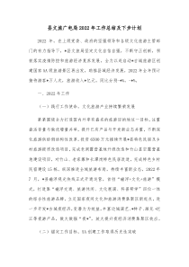 县文旅广电局20XX年工作总结及下步计划