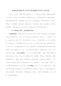 县林业局20XX年上半年工作总结和下半年工作计划