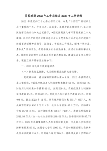 县民政局20XX年工作总结及20XX年工作计划