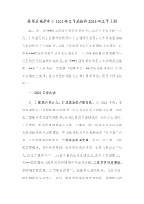 县湿地保护中心20XX年工作总结和20XX年工作计划