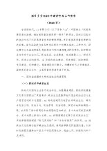 国企20XX年政治生态工作报告