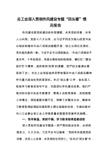 2025总工会深入贯彻作风建设专题“回头看”情况报告