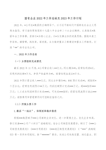 国有企业20XX年工作总结及20XX年工作计划