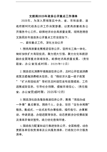文旅局2025年政务公开重点工作清单