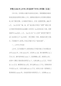 审管办20XX年上半年工作总结和下半年工作思路区县