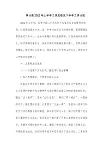 审计局20XX年上半年工作总结及下半年工作计划