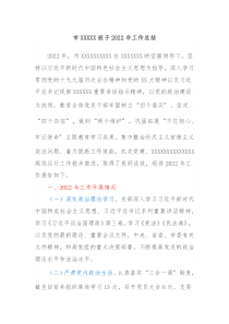 市XXXXX班子20XX年工作总结