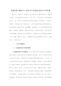 市国有资产服务中心20XX年工作总结20XX年工作打算