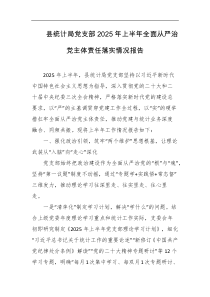 县统计局党支部2025年上半年全面从严治党主体责任落实情况报告