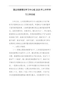 国企党委理论学习中心组2025年上半年学习工作总结