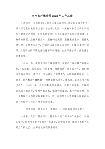 市生态环境分局20XX年工作总结