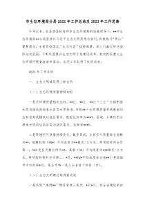 市生态环境局分局20XX年工作总结及20XX年工作思路