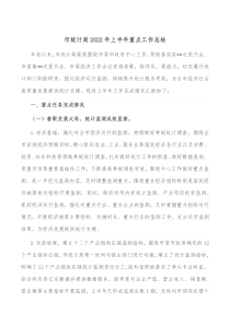 市统计局20XX年上半年重点工作总结