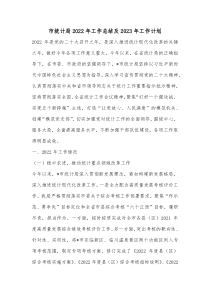市统计局20XX年工作总结及20XX年工作计划