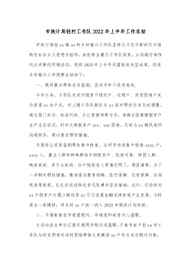 市统计局驻村工作队20XX年上半年工作总结
