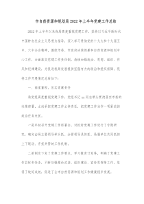 市自然资源和规划局20XX年上半年党建工作总结