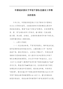 市委组织部关于年轻干部队伍建设工作情况的报告