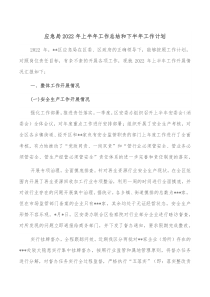 应急局20XX年上半年工作总结和下半年工作计划