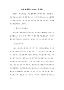 应急管理局20XX年工作总结