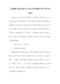 文化旅游广电局20XX年上半年工作总结暨下半年工作计划市级