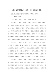 新时代文明实践中心所站建设工作总结